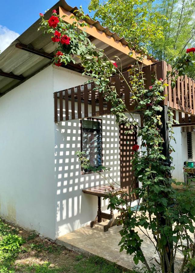 Tribal Pai (Adults Only) Exterior foto